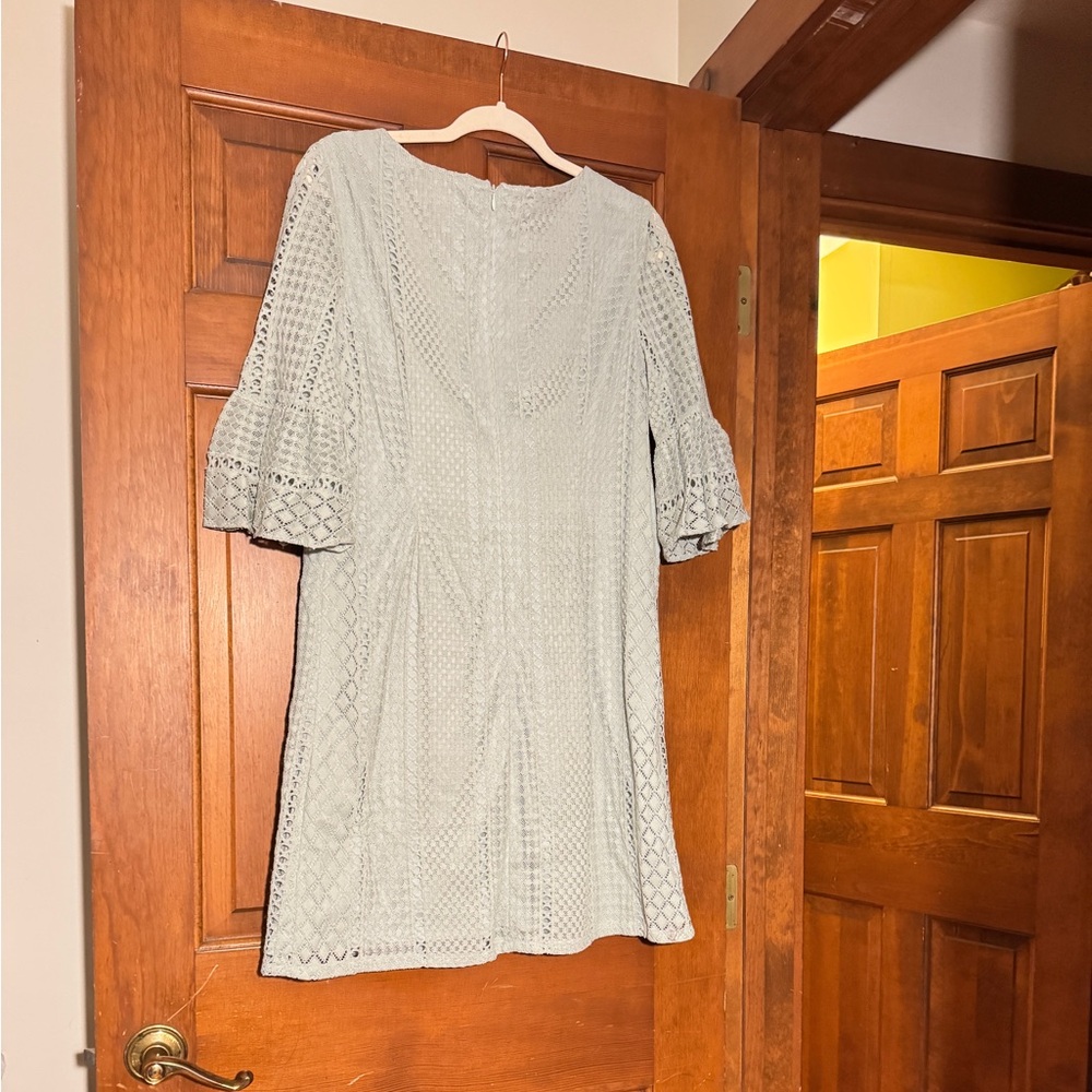 Adrianna Papell Light Green Lace Long Sleeve Dress